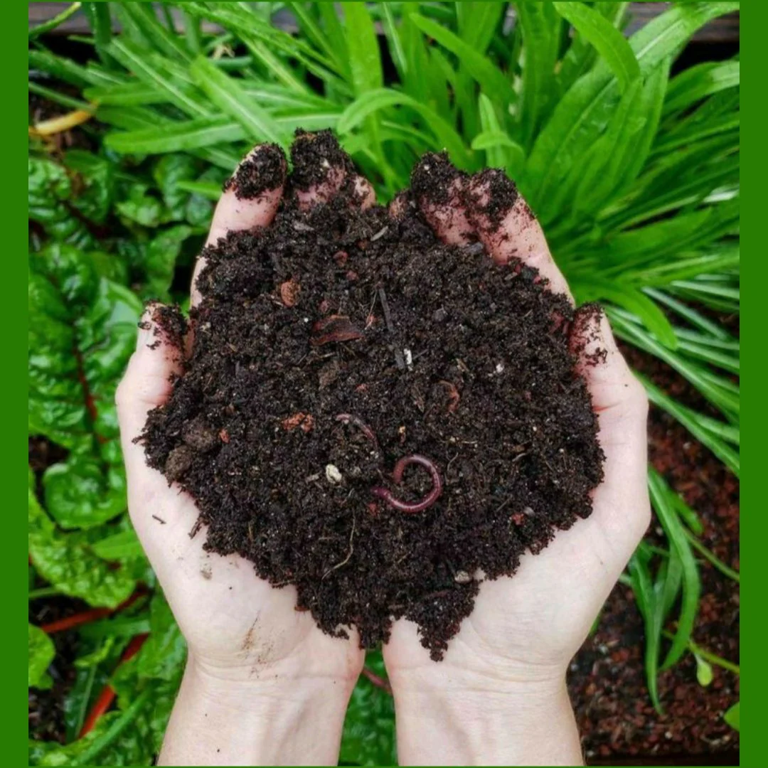 Vermicompost Product 4